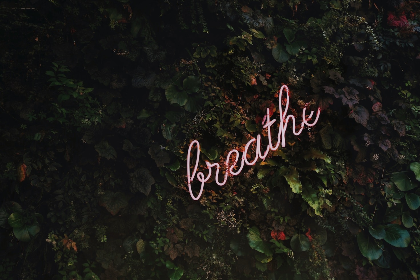 The Benefits of Holistic Wellness in Daily Life